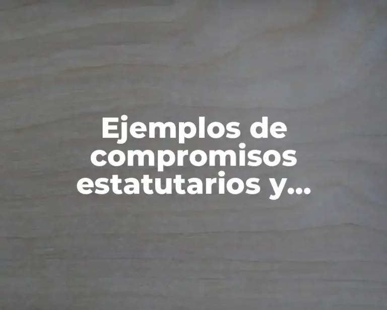 Ejemplos de compromisos estatutarios y Significado