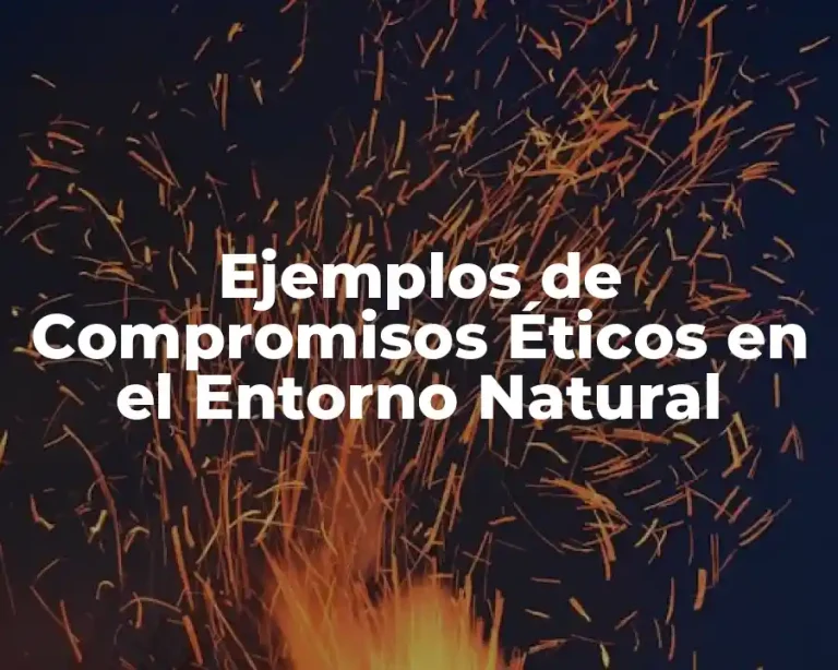 Ejemplos de Compromisos Éticos en el Entorno Natural