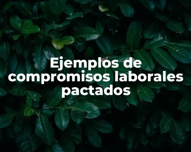 Ejemplos de compromisos laborales pactados