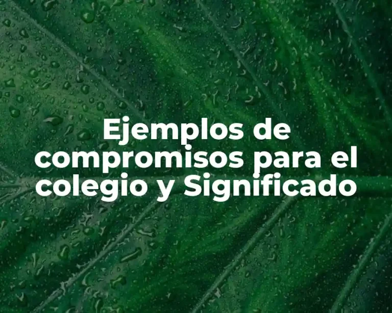 Ejemplos de compromisos para el colegio y Significado
