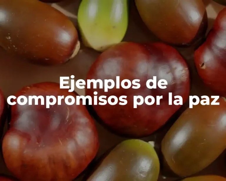 Ejemplos de compromisos por la paz