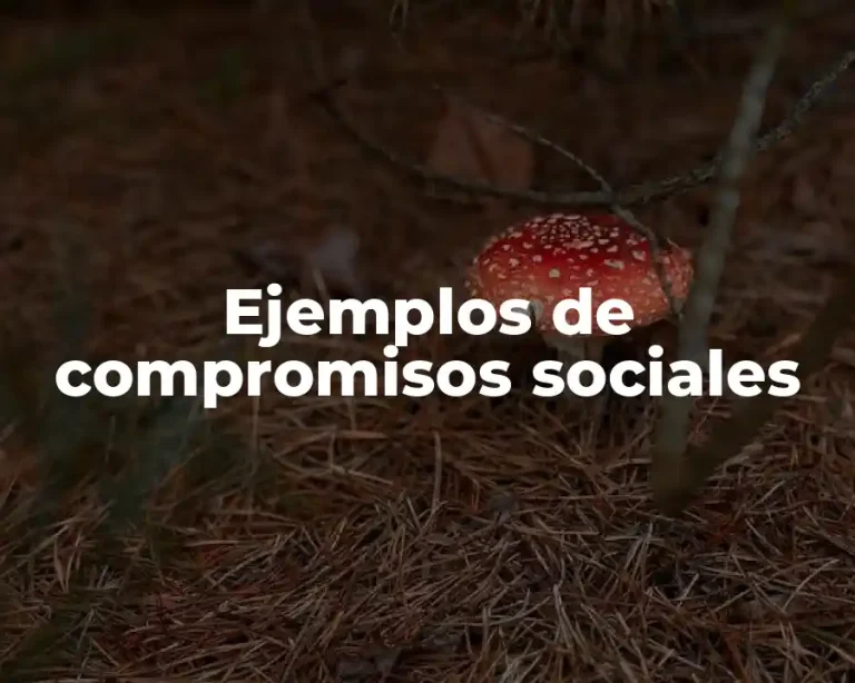 Ejemplos de compromisos sociales