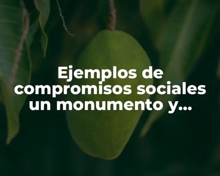 Ejemplos de compromisos sociales un monumento y Significado