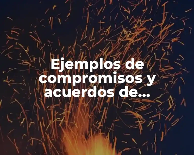 Ejemplos de compromisos y acuerdos de participación social