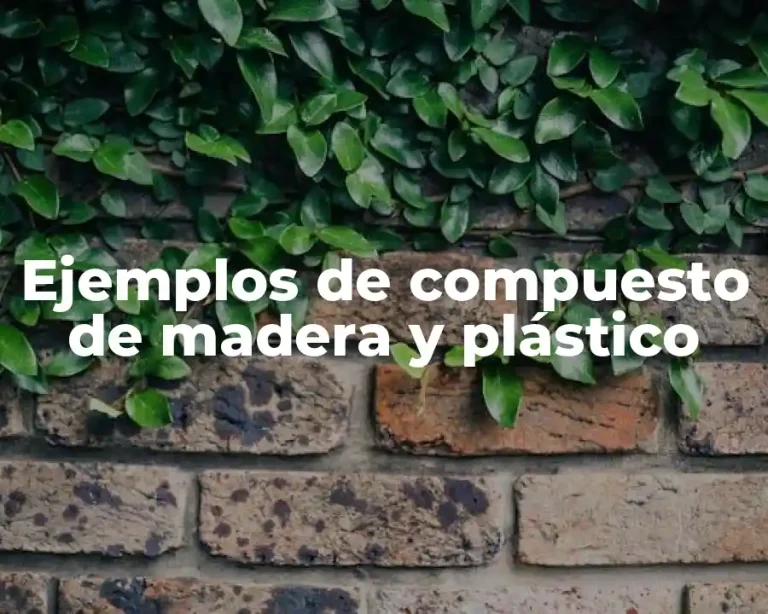 Ejemplos de compuesto de madera y plástico