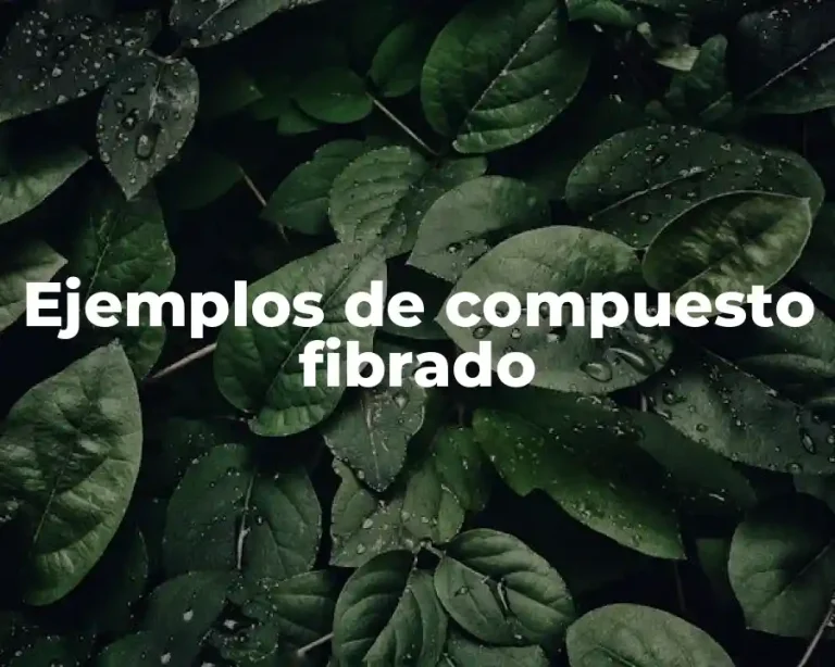 Ejemplos de compuesto fibrado