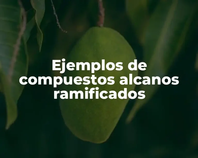 Ejemplos de compuestos alcanos ramificados