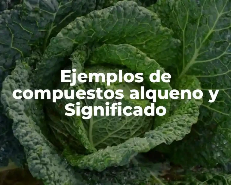 Ejemplos de compuestos alqueno y Significado