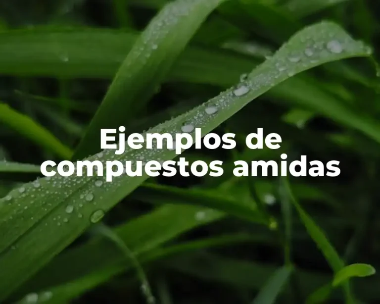 Ejemplos de compuestos amidas