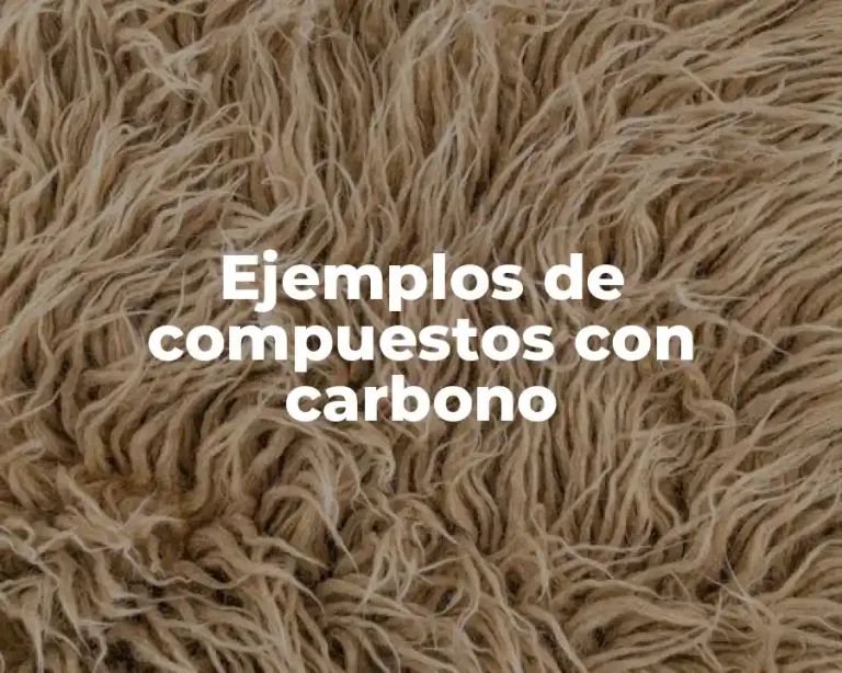 Ejemplos de compuestos con carbono