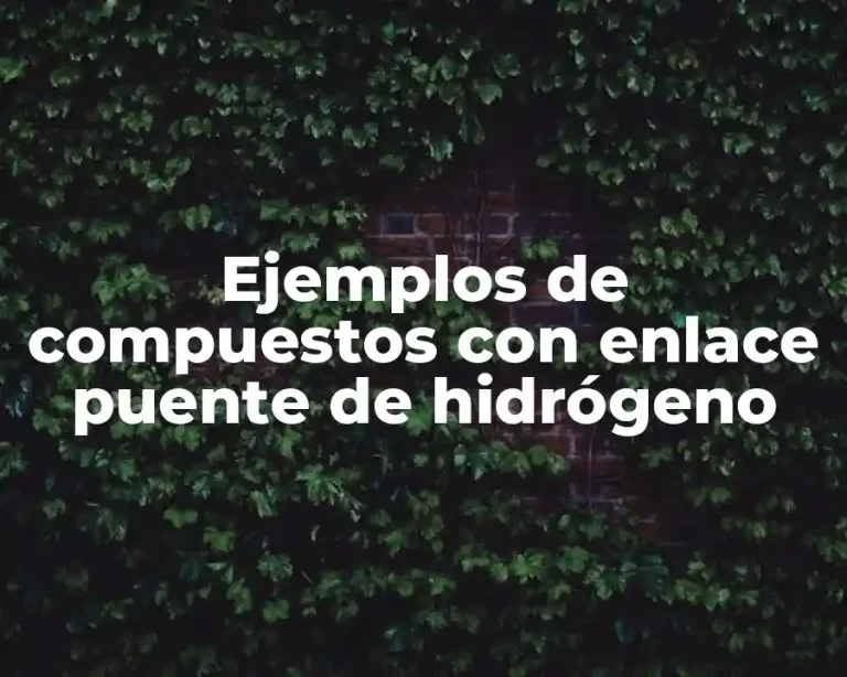 Ejemplos de compuestos con enlace puente de hidrógeno