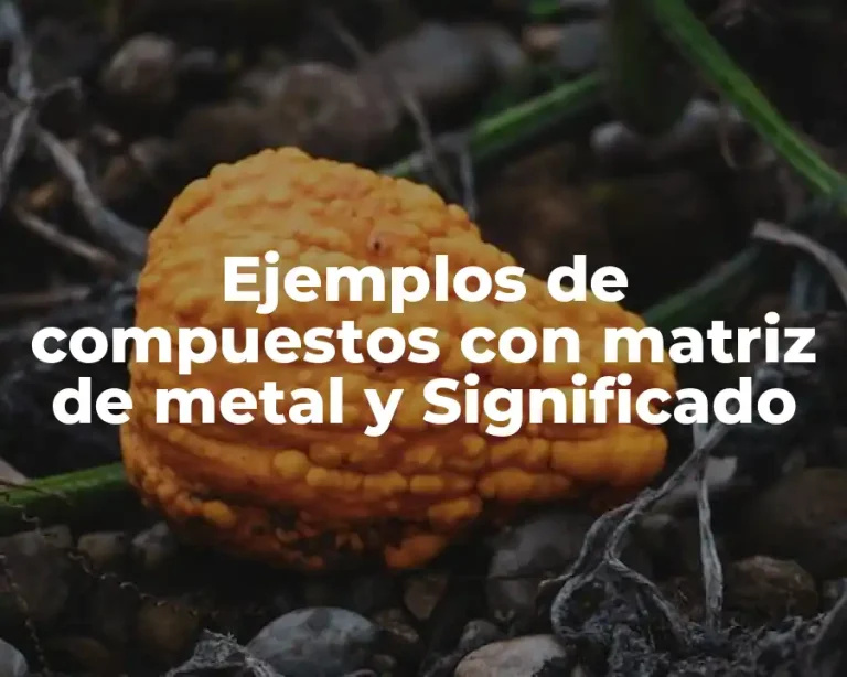 Ejemplos de compuestos con matriz de metal y Significado