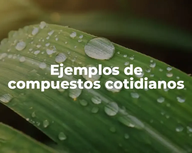 Ejemplos de compuestos cotidianos