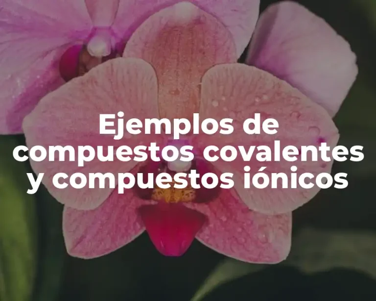 Ejemplos de compuestos covalentes y compuestos iónicos
