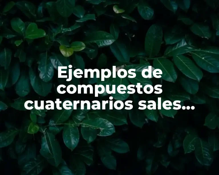 Ejemplos de compuestos cuaternarios sales oxisales acidas