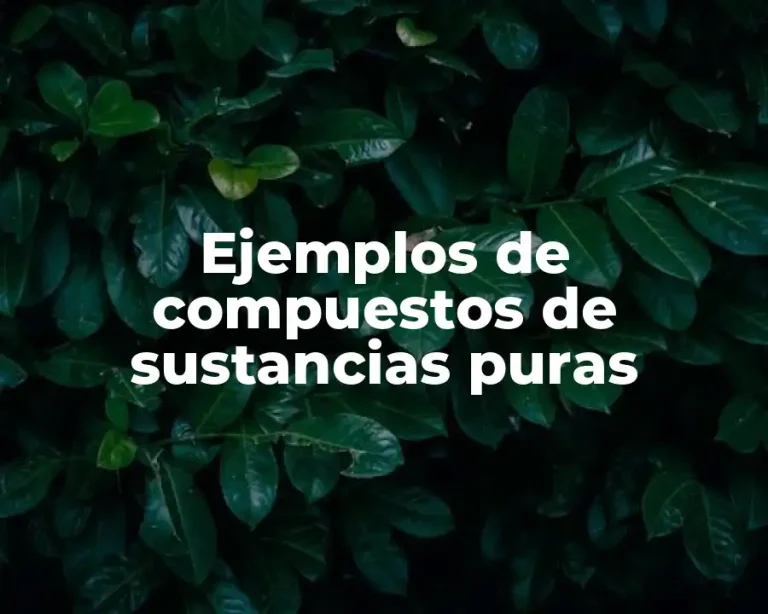 Ejemplos de compuestos de sustancias puras
