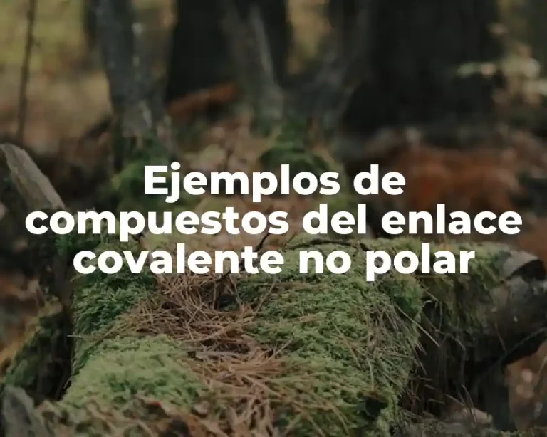 Ejemplos de compuestos del enlace covalente no polar