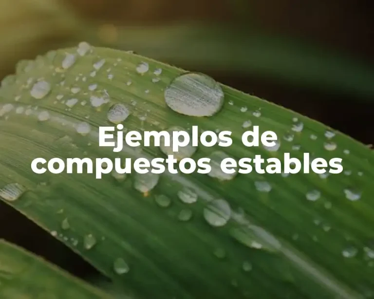 Ejemplos de compuestos estables