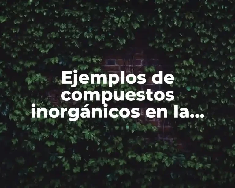 Ejemplos de compuestos inorgánicos en la agricultura