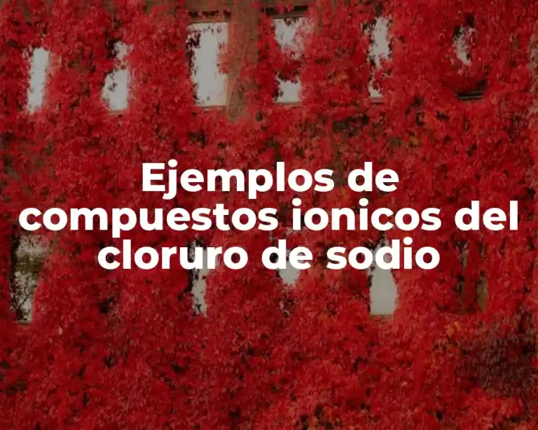Ejemplos de compuestos ionicos del cloruro de sodio