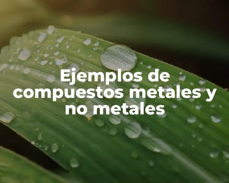 Ejemplos de compuestos metales y no metales