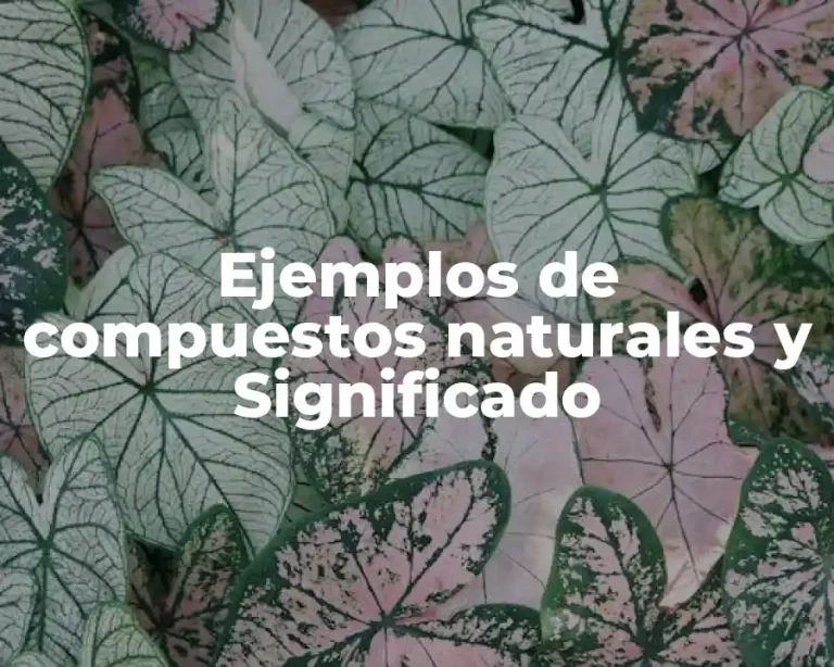 Ejemplos de compuestos naturales y Significado