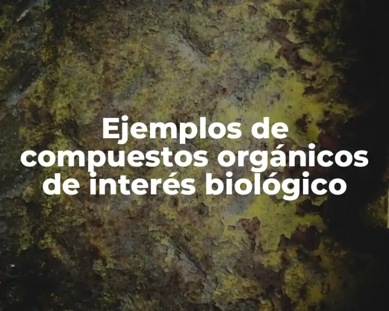 Ejemplos de compuestos orgánicos de interés biológico
