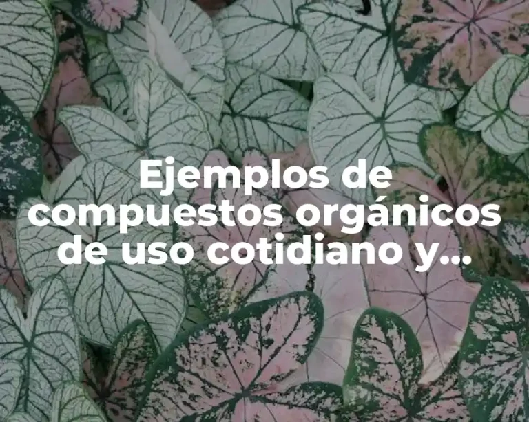 Ejemplos de compuestos orgánicos de uso cotidiano y como sustituirlos y Significado