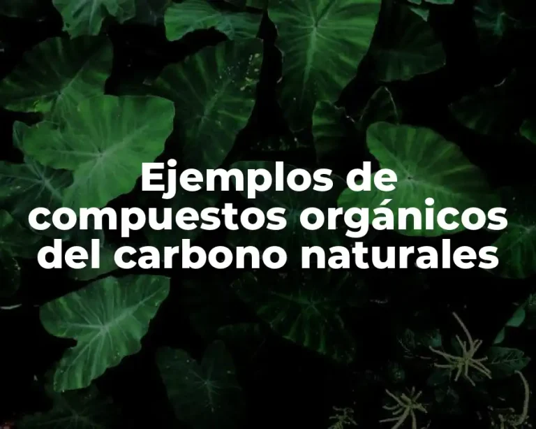 Ejemplos de compuestos orgánicos del carbono naturales