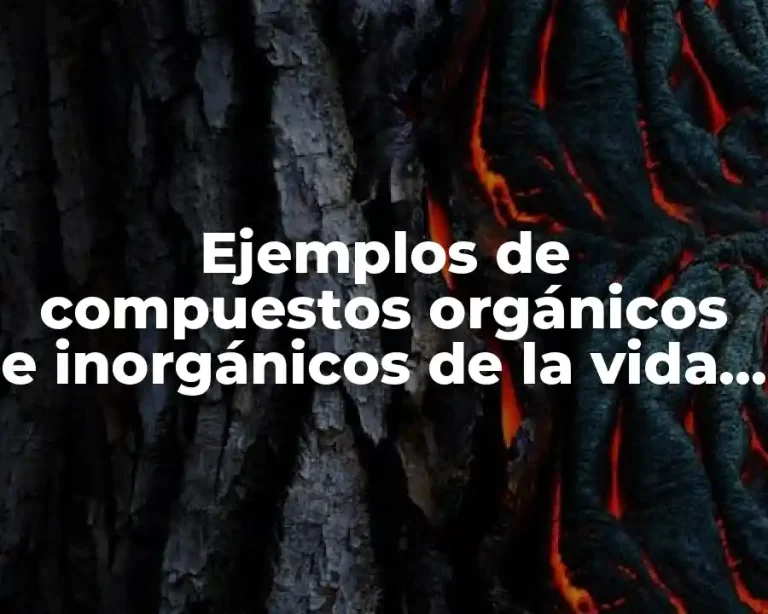 Ejemplos de compuestos orgánicos e inorgánicos de la vida diaria