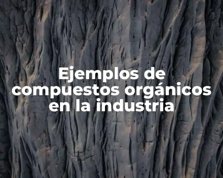Ejemplos de compuestos orgánicos en la industria