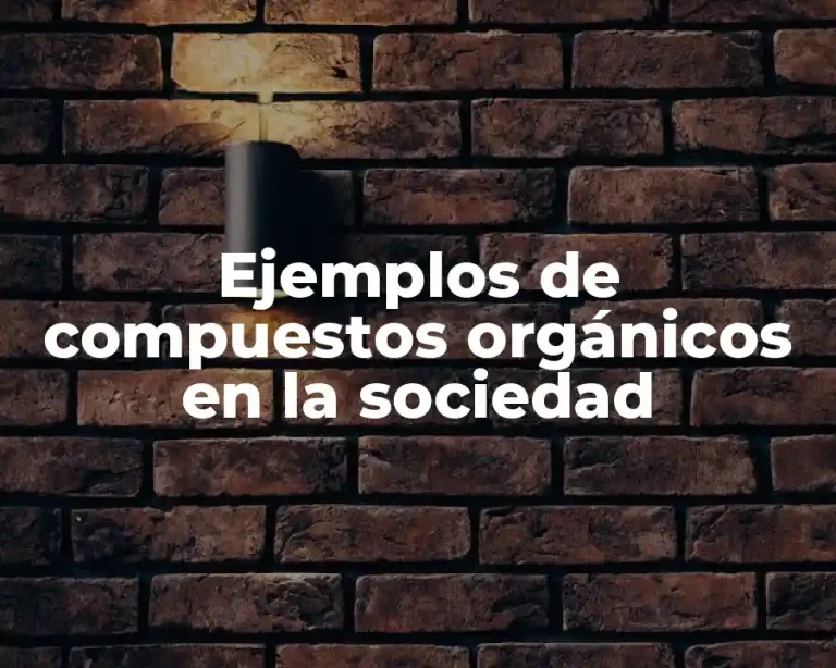 Ejemplos de compuestos orgánicos en la sociedad