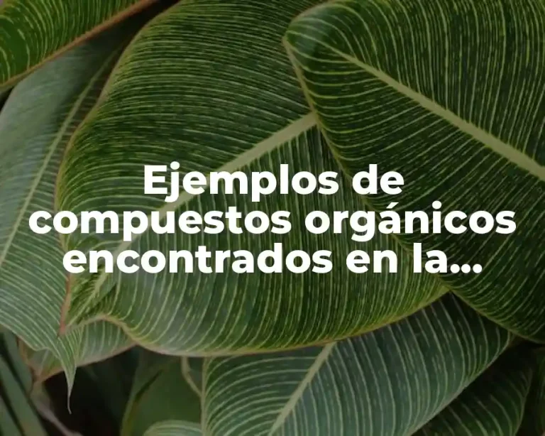 Ejemplos de compuestos orgánicos encontrados en la naturaleza