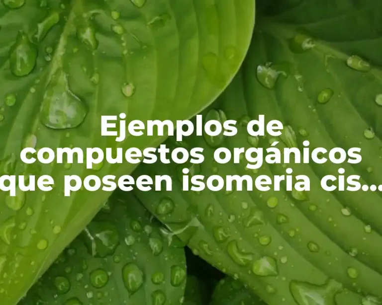 Ejemplos de compuestos orgánicos que poseen isomeria cis y trans