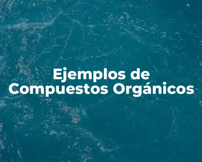 Ejemplos de Compuestos Orgánicos