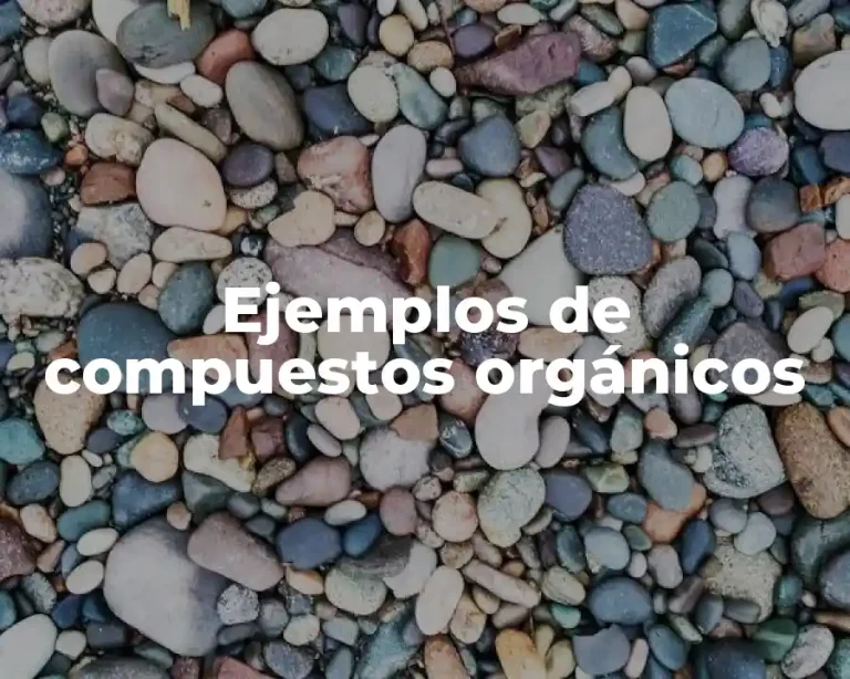 Ejemplos de compuestos orgánicos