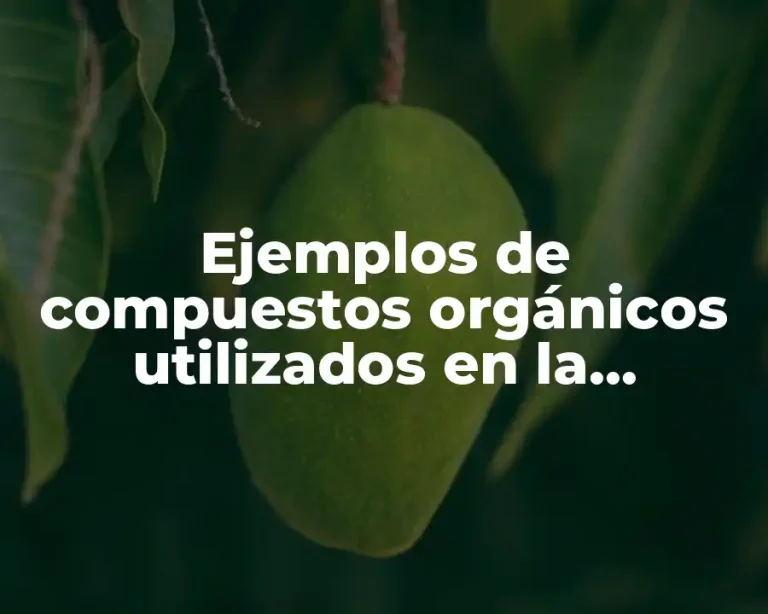 Ejemplos de compuestos orgánicos utilizados en la industria