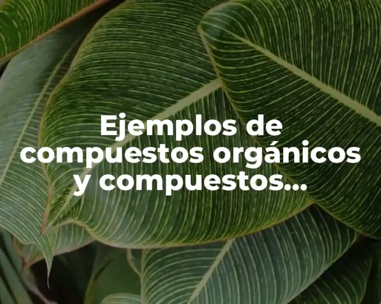 Ejemplos de compuestos orgánicos y compuestos inorgánicos