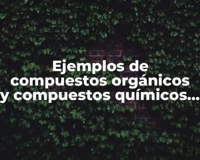 Ejemplos de compuestos orgánicos y compuestos químicos orgánicos