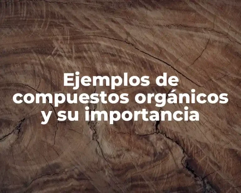 Ejemplos de compuestos orgánicos y su importancia