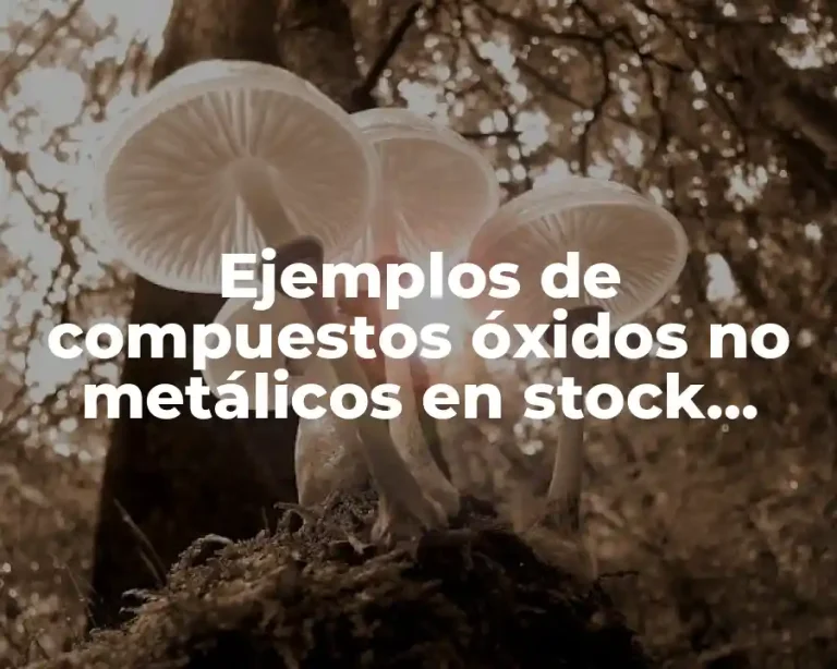 Ejemplos de compuestos óxidos no metálicos en stock sistemático