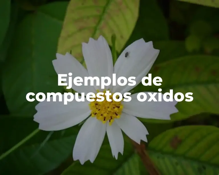Ejemplos de compuestos oxidos