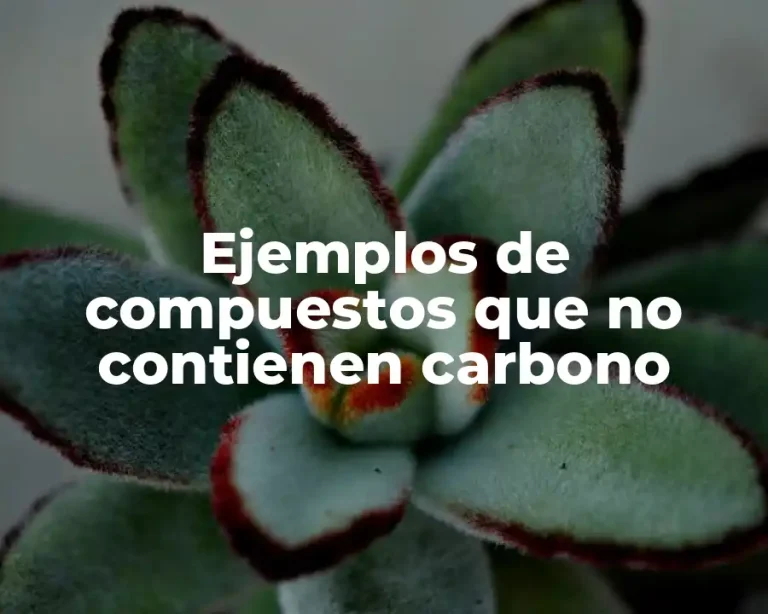 Ejemplos de compuestos que no contienen carbono