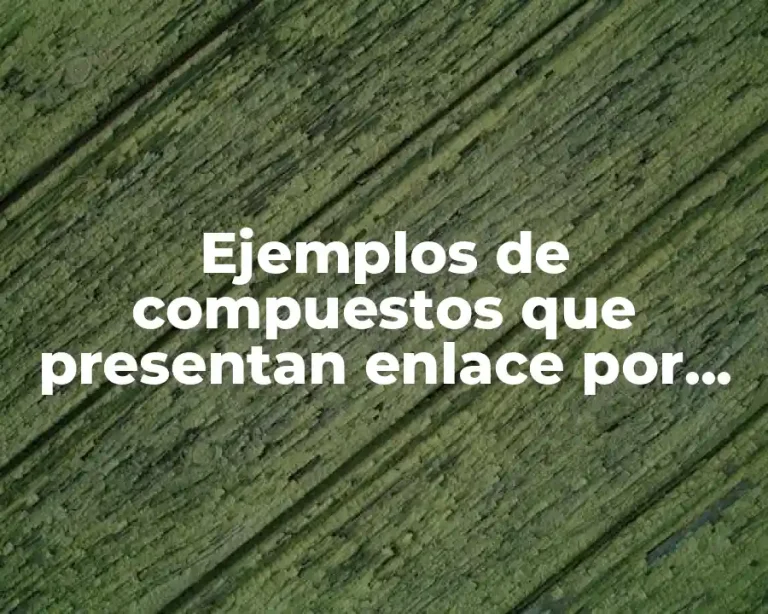 Ejemplos de compuestos que presentan enlace por puente de hidrogeno