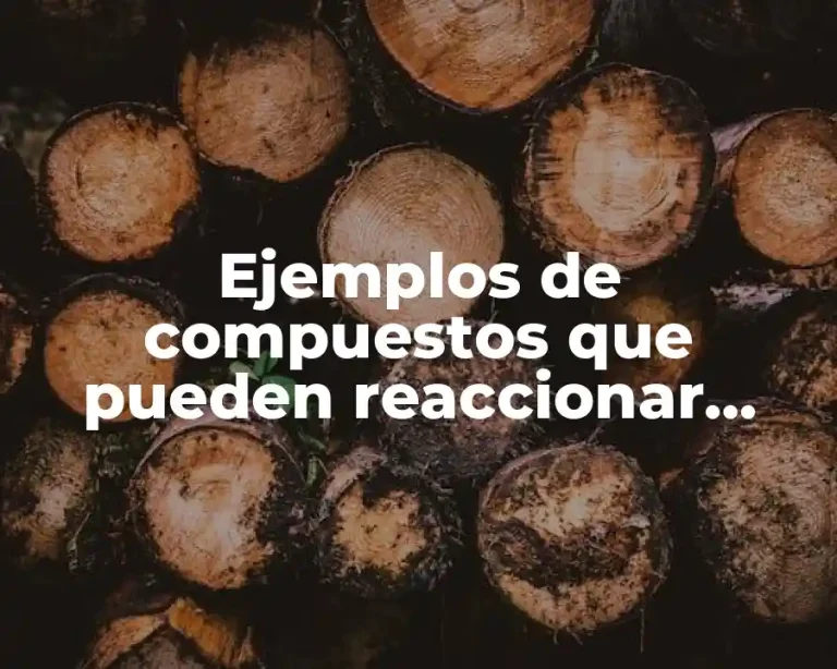 Ejemplos de compuestos que pueden reaccionar explosivamente y Significado