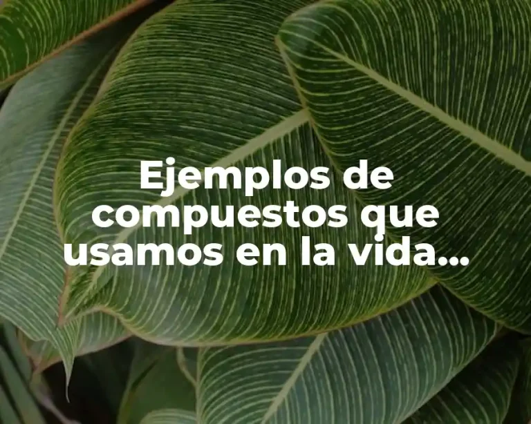 Ejemplos de compuestos que usamos en la vida cotidiana