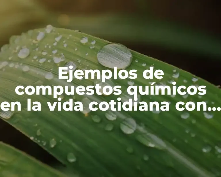 Ejemplos de compuestos químicos en la vida cotidiana con fórmula y Significado