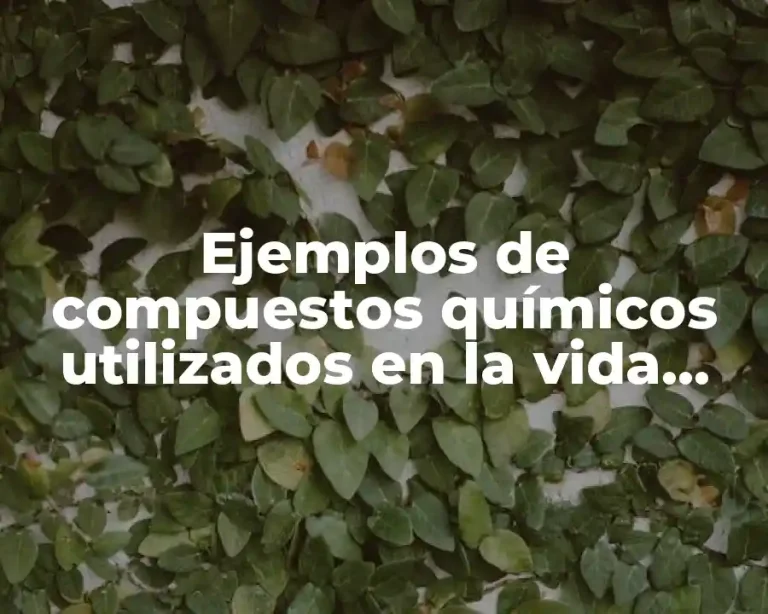 Ejemplos de compuestos químicos utilizados en la vida diaria