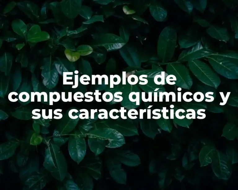Ejemplos de compuestos químicos y sus características