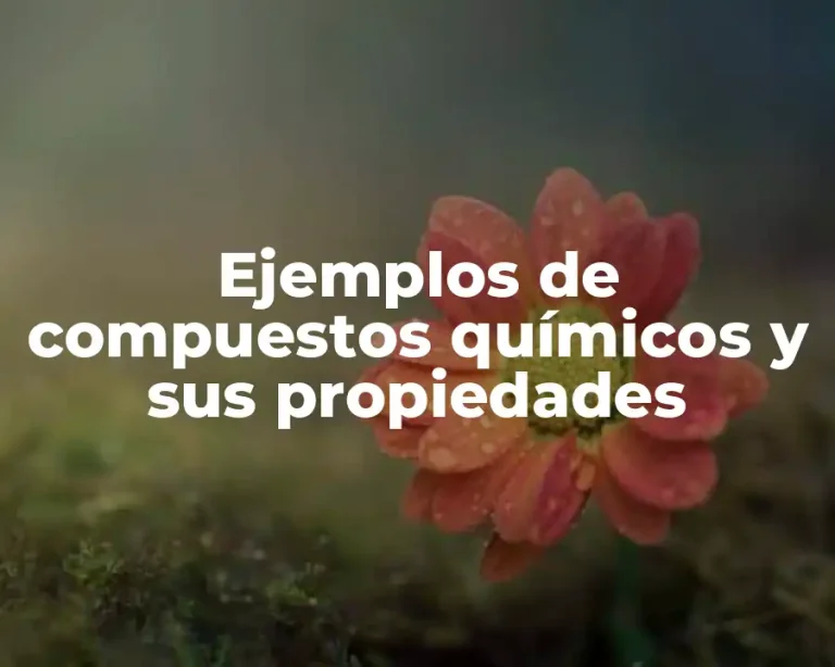 Ejemplos de compuestos químicos y sus propiedades